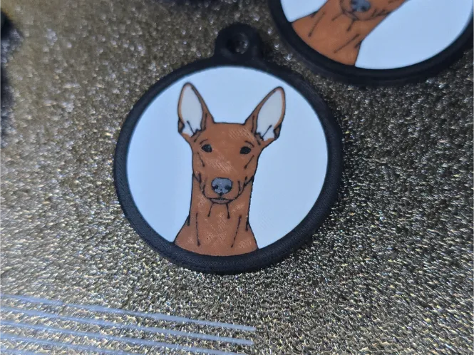 Podenco 