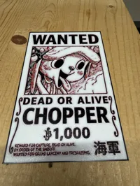 Avis de recherche Tony Tony Chopper — One Piece — photo 3