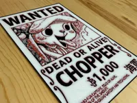 Avis de recherche Tony Tony Chopper — One Piece — photo 2