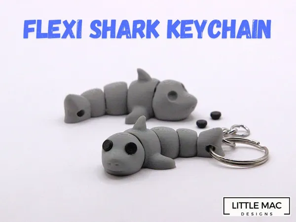 https://makerworld.bblmw.com/makerworld/model/US714e186340a152/design/2025-01-20_751df89ceff29.jpg