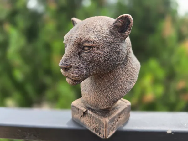 https://makerworld.bblmw.com/makerworld/model/US71528ed1714c03/design/2025-06-06_32aac7a504d79.jpg