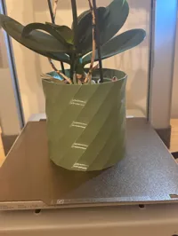 Vase Orchidée — photo 2