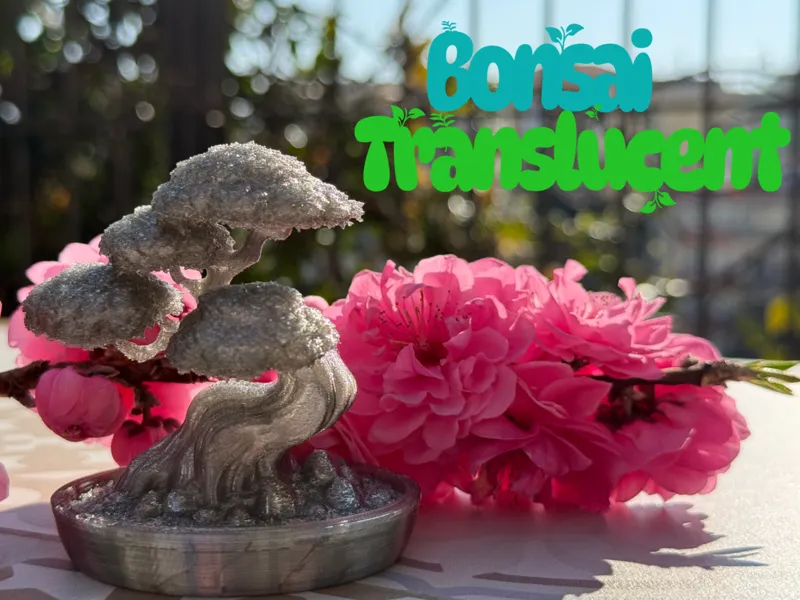 Translucent Bonsai