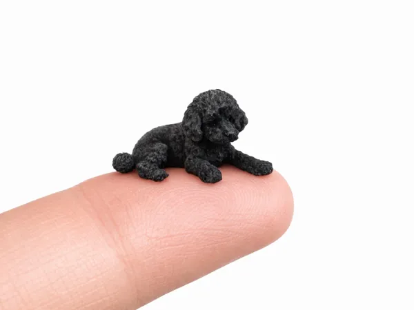 https://makerworld.bblmw.com/makerworld/model/US7155a634026cf9/design/4608787ac1ecbc5b.jpeg