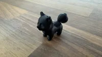 Shiba inu miniature — photo 2