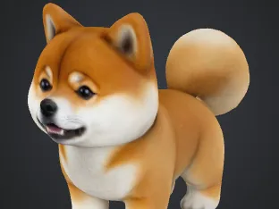 Shiba inu miniature