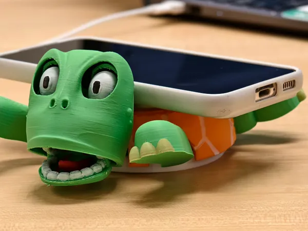 Coque tortue pour chargeur sans fil