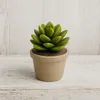 Echeveria Succulent plant - 0.2mm layer, 2 walls, 15% infill