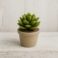 Echeveria Succulent plant - 0.2mm layer, 2 walls, 15% infill