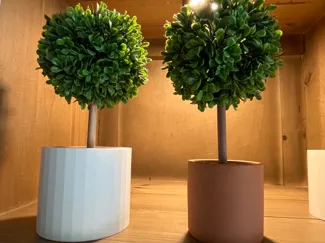 Small Plant Vase