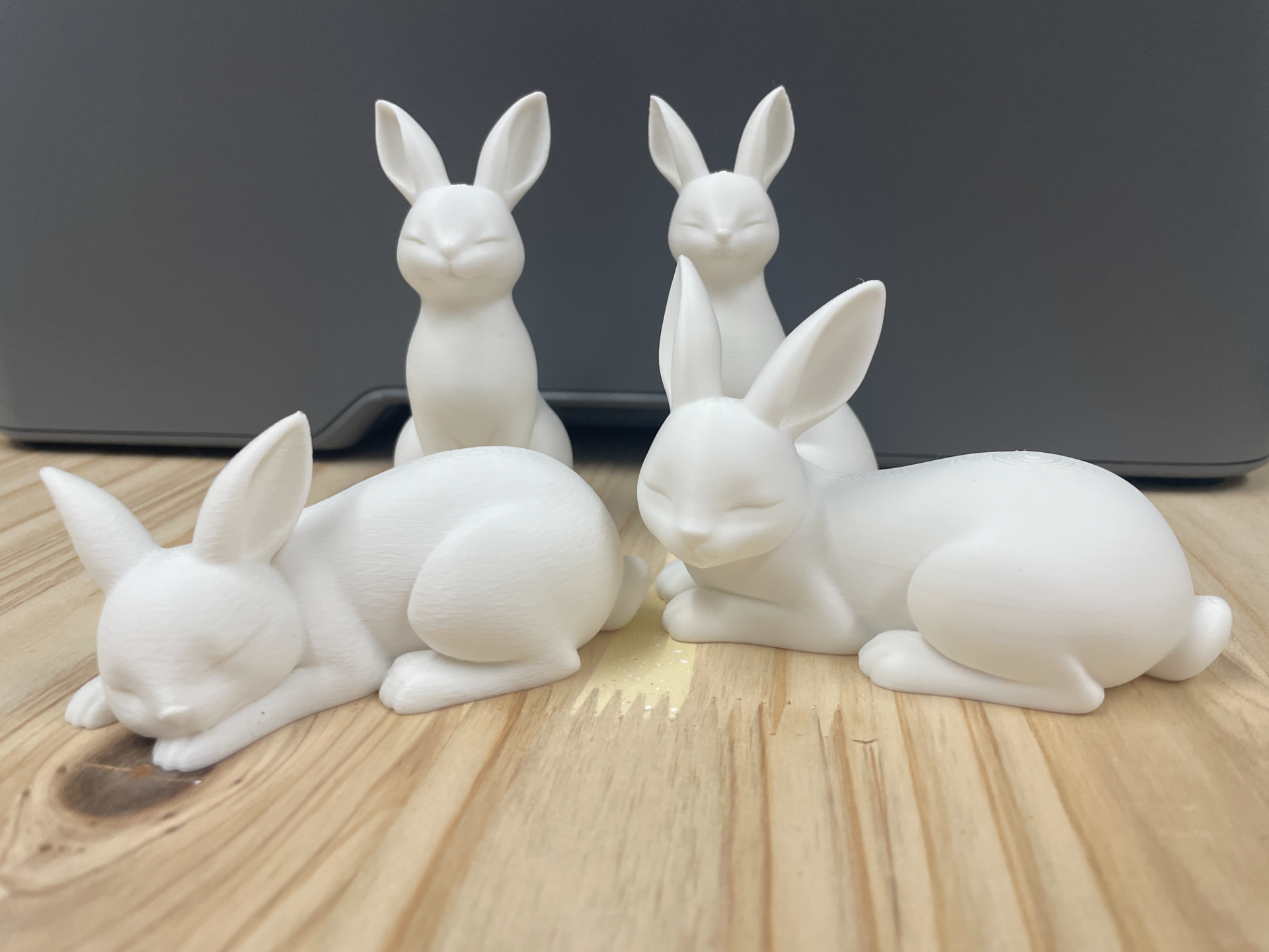 Normal Bunnies