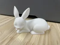 Lapins de Pâques — photo 4