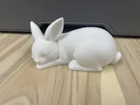 Lapins de Pâques — photo 8