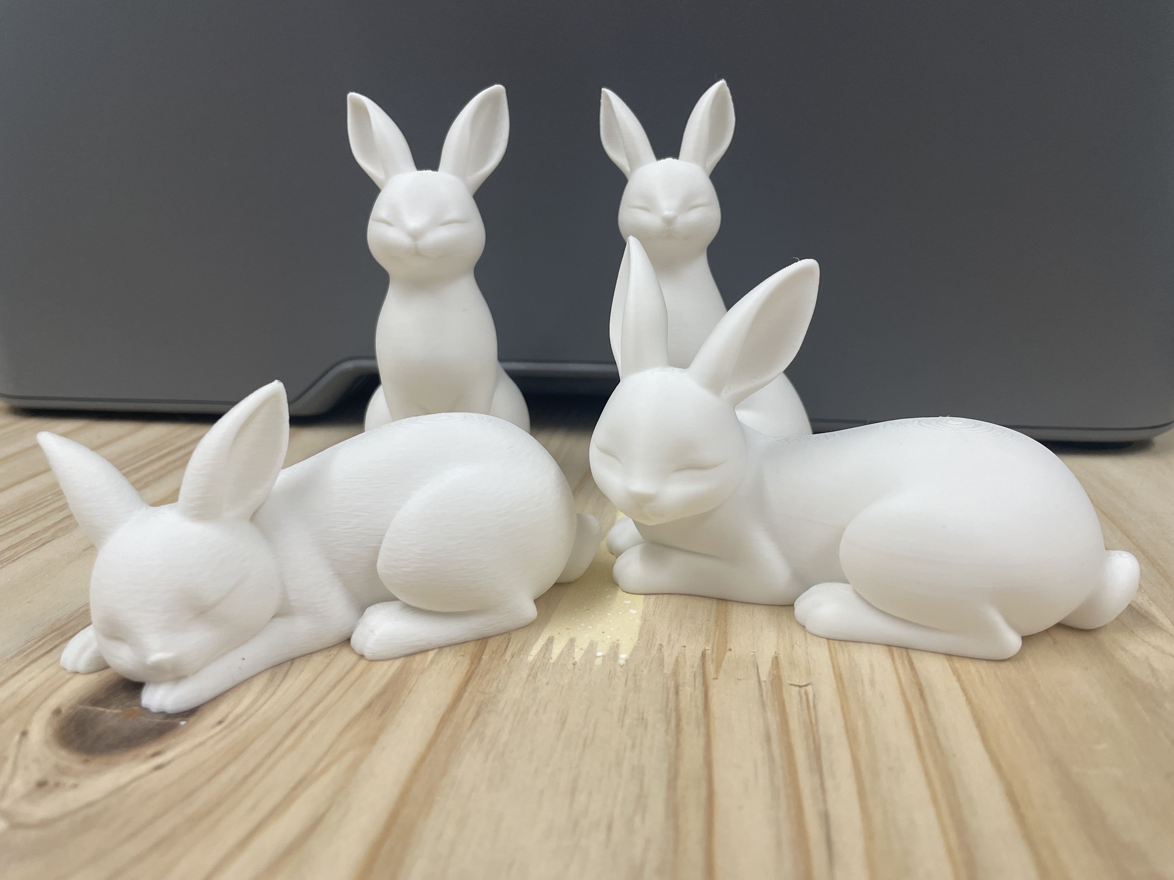 Fuzzy Bunnies