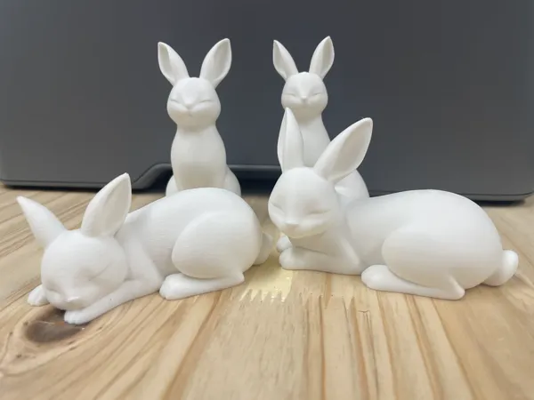 https://makerworld.bblmw.com/makerworld/model/US716d5a89944261/design/24e331861972f553.jpg