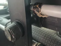 Replacement Car Dog Guard