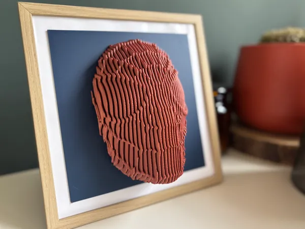 https://makerworld.bblmw.com/makerworld/model/US7176b6f78ca92e/design/2025-02-14_b734e6d79487d.jpg