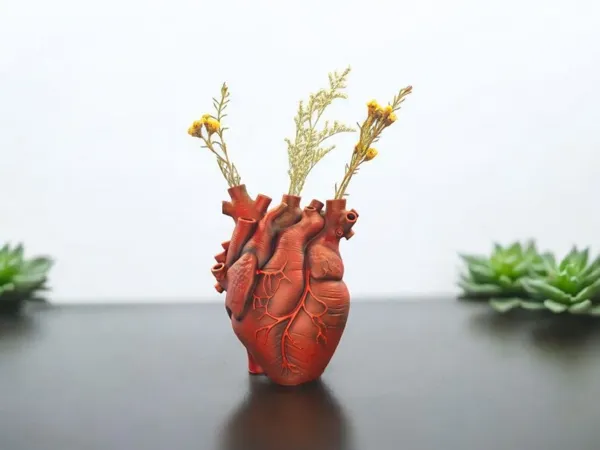 https://makerworld.bblmw.com/makerworld/model/US717ed7ab6d460e/design/2025-11-01_625c6a418f08d8.jpg