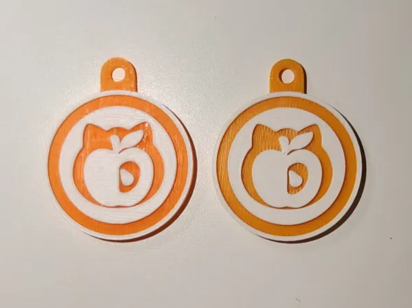 https://makerworld.bblmw.com/makerworld/model/US718d5f523e09cb/design/2025-06-21_97aa35dbd6fc48.jpg