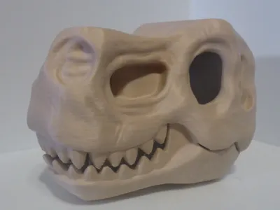 T-Rex Skull