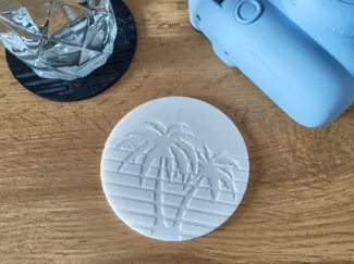 Summer palm coaster