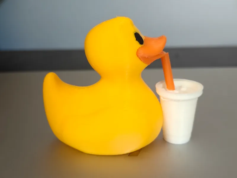 Coffee Duck