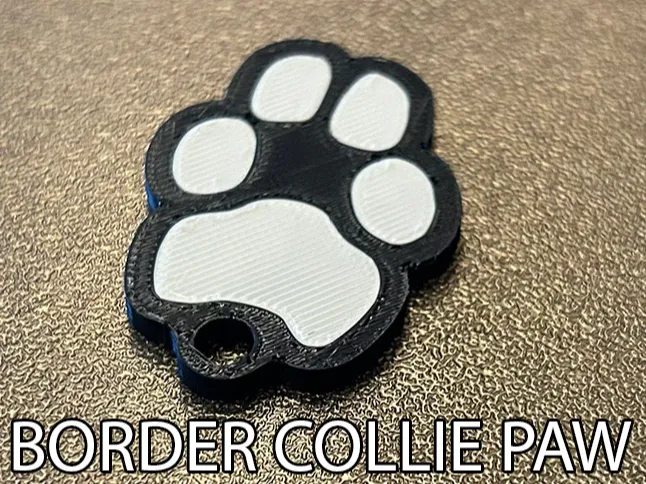 Border Collie Dog Paw