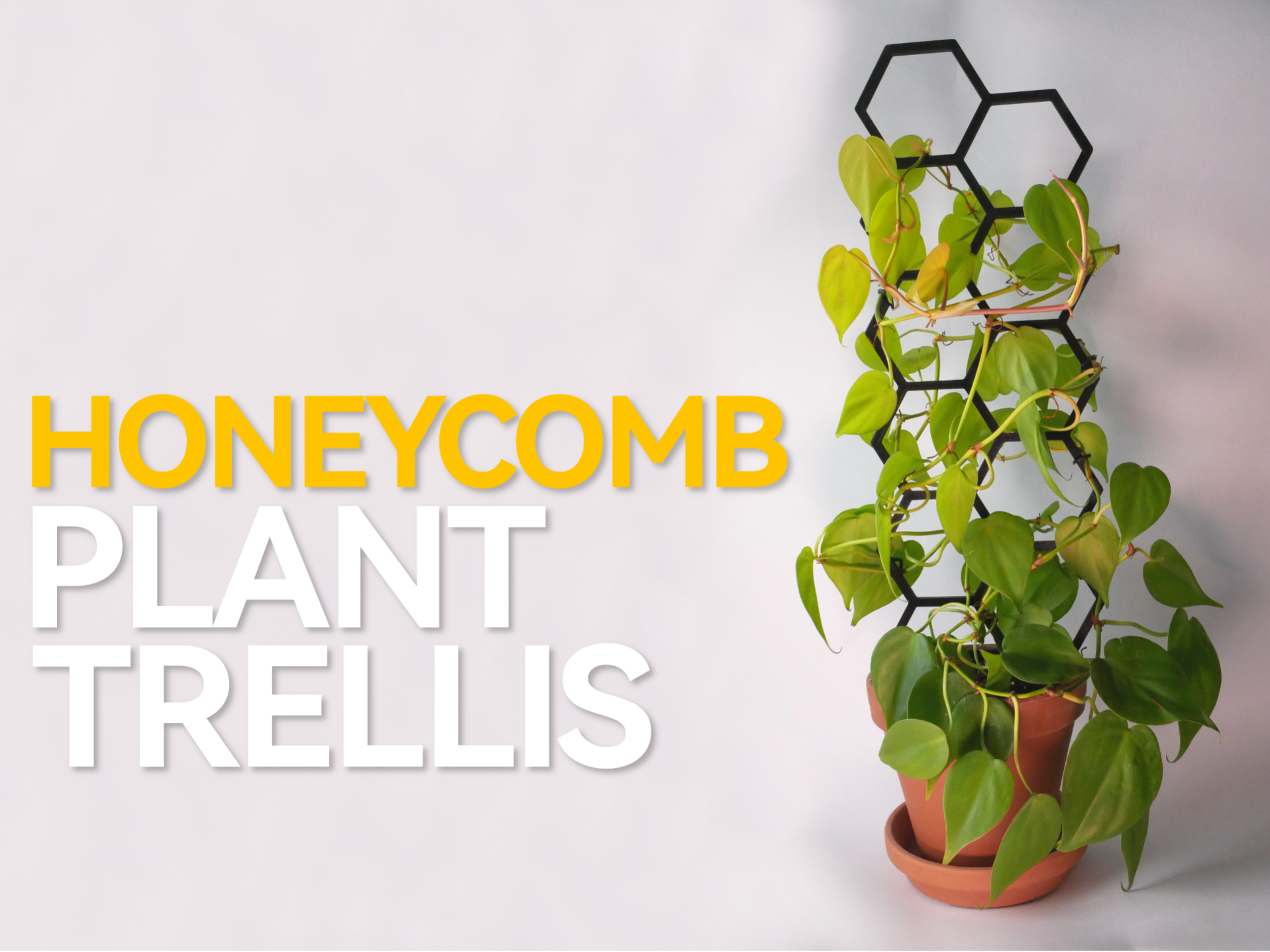 Hexagonal Plant Trellis (Honeycomb)