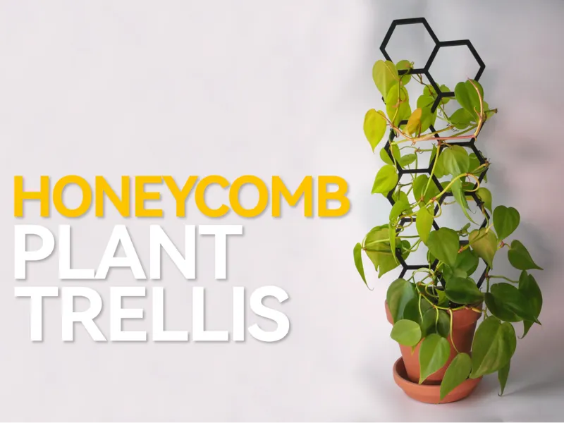 Hexagonal Plant Trellis (Honeycomb)