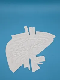 Panneau éducatif à colorier - Anatomie du foie — photo 2
