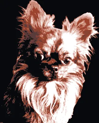 Hueforge Chihuahua