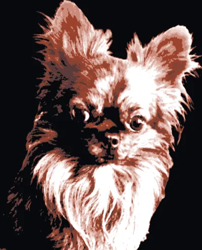 Hueforge Chihuahua