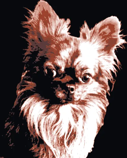 Hueforge Chihuahua