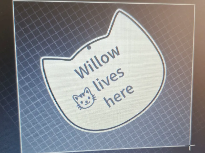 cat tag