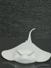 Grumpy Sting Ray