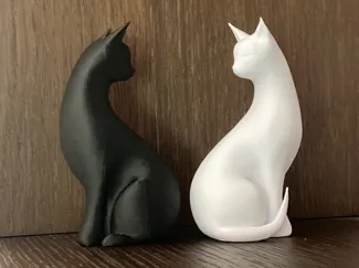 Cats Home Design