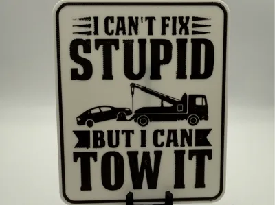 I Can't Fix Stupid But I Can Tow It
