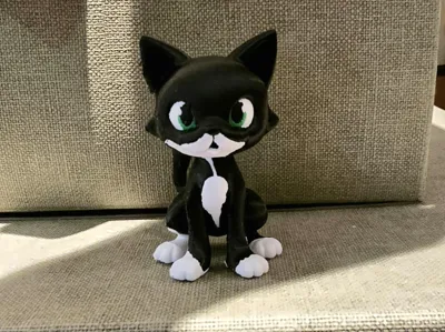 Tuexedo cat Kiwi