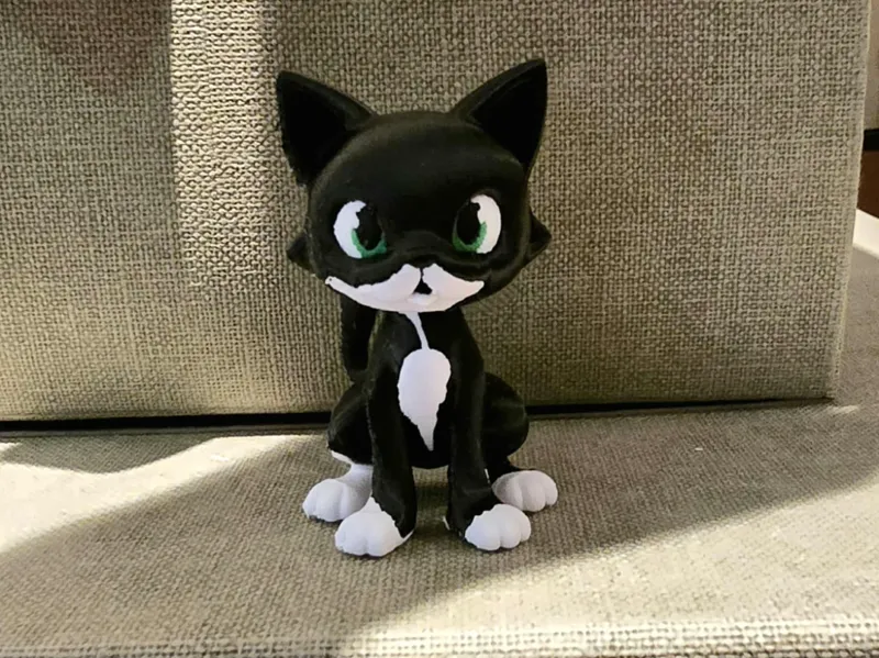 Tuexedo cat Kiwi