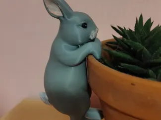 Coniglio di Pasqua che si arrampica