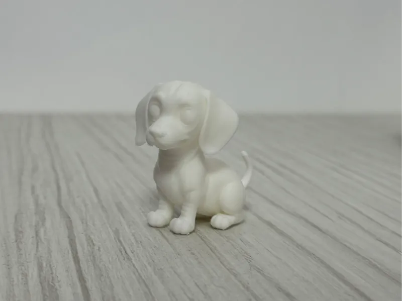 Dog Teckel