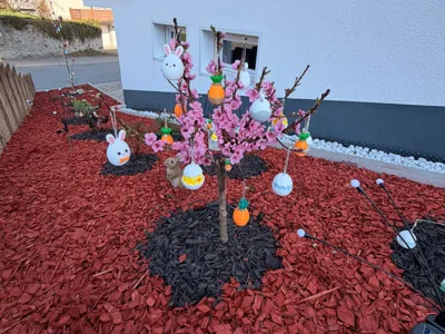 Ultimate Easter Collection Eggs, Bunnies & Carrots