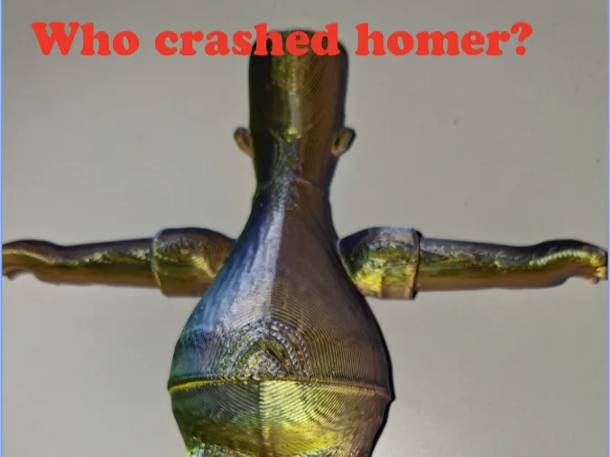 Who chrashed domer