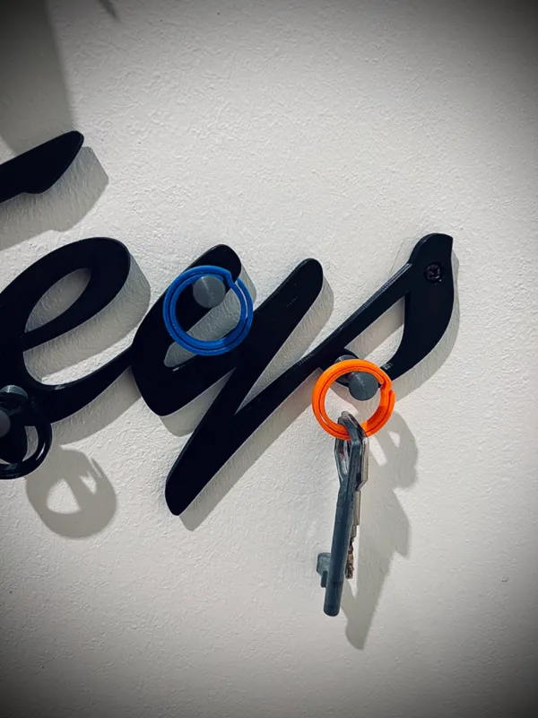 https://makerworld.bblmw.com/makerworld/model/US71d0b04dc834ac/design/2023-11-07_5e495406385ab8.jpeg
