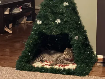 Cat Christmas Tree Frame Kit