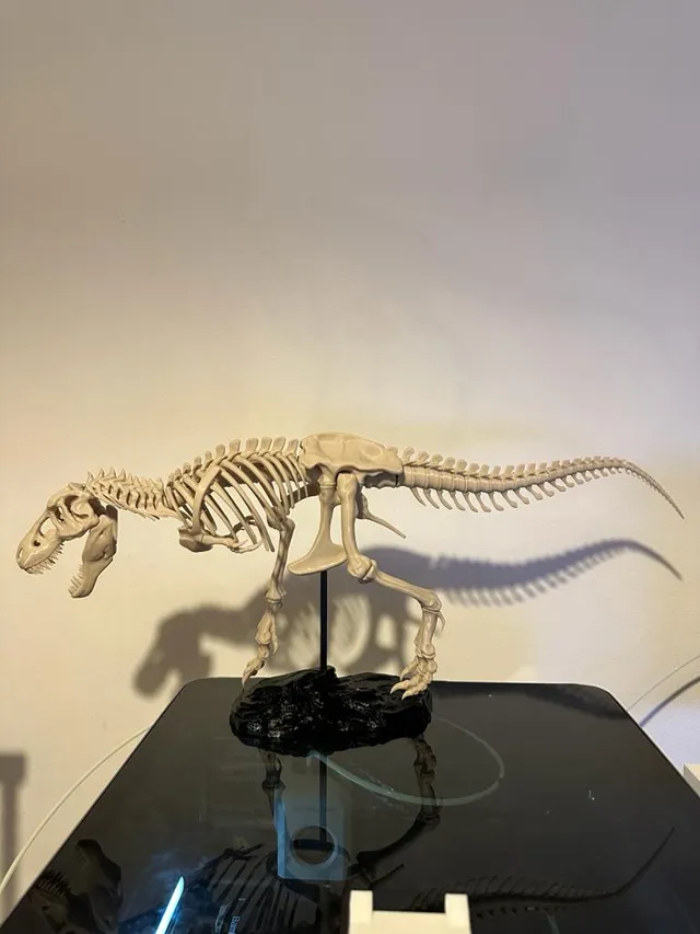 T-Rex Skeleton fixed