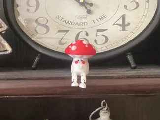 leggy mushroom