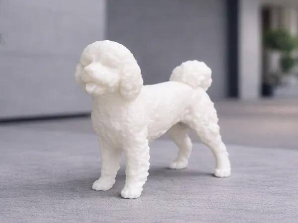 https://makerworld.bblmw.com/makerworld/model/US71daab5e3bf675/design/10572dc225d78b05.png