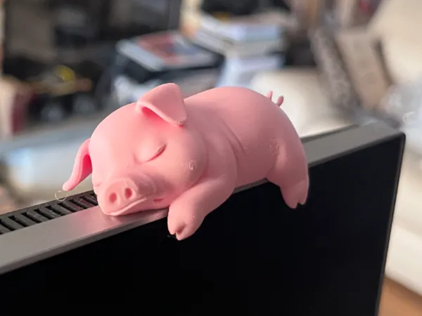 https://makerworld.bblmw.com/makerworld/model/US71e186349ccaa0/design/1a9a82785d776bab.jpeg