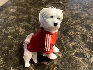 Maltese Poodle